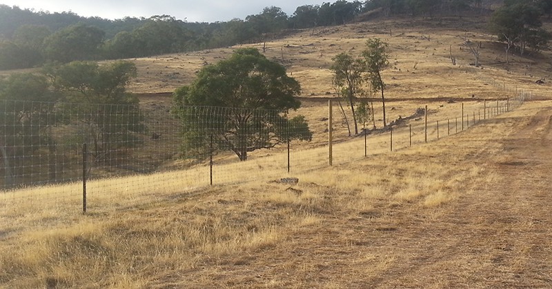 Fencing
